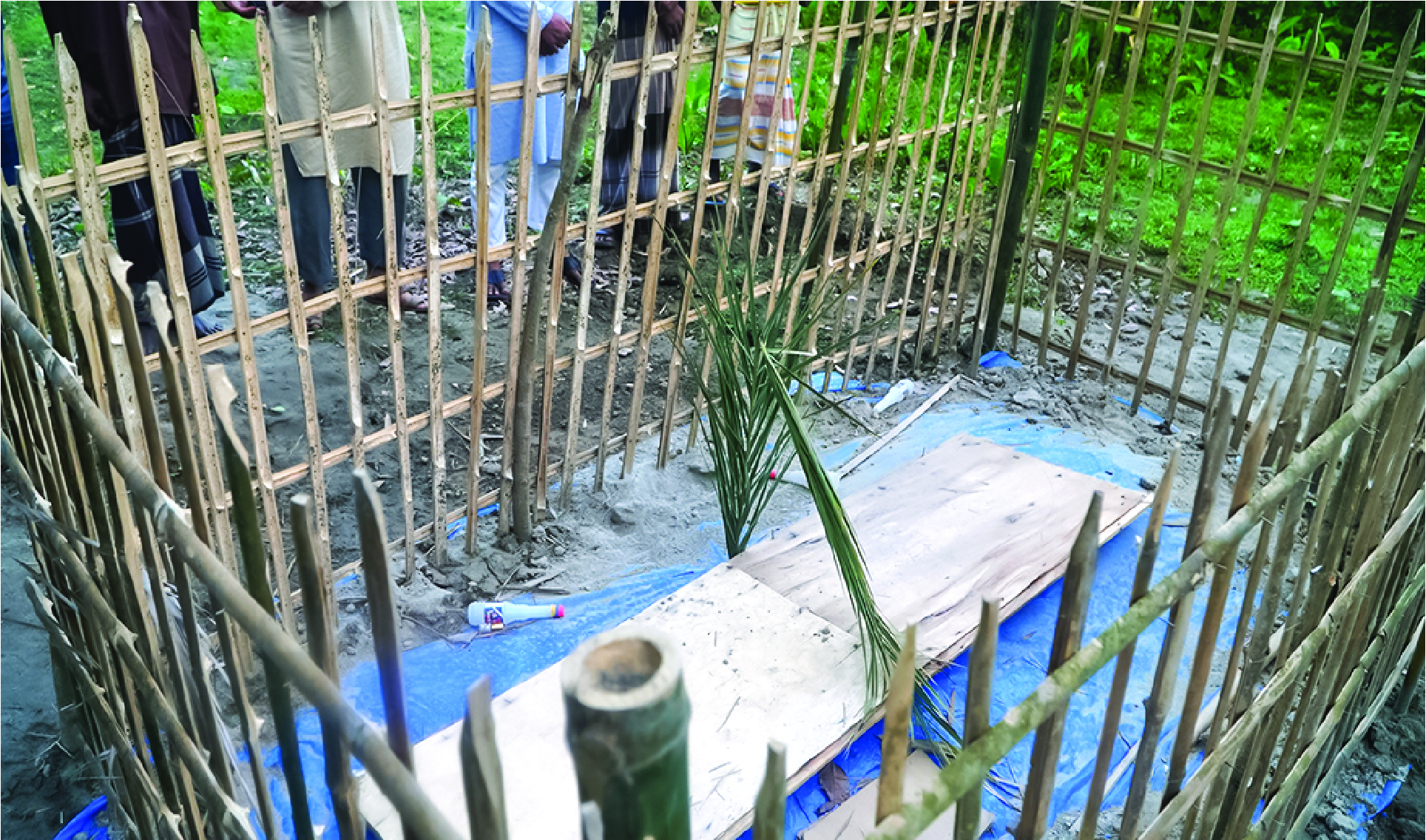 Image of মো: শাহাবুল ইসলাম ( শাওন )